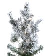 Vickerman 14F Sierra Fir Artificial Christmas Tree in LED lights Fashion