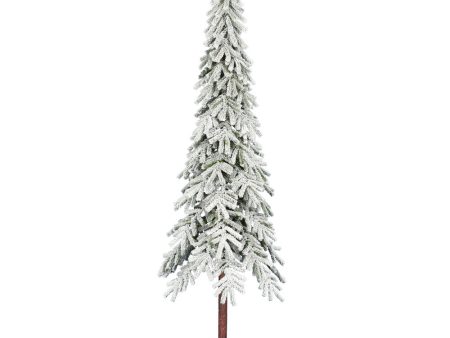 Vickerman 7F x 42-in Flocked Alpine Artificial Christmas Tree Unlit Online Hot Sale