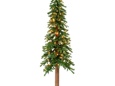 Vickerman 5F Natural Alpine Artificial Christmas Tree Clear Incandescent Lights For Discount