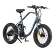 Electric Bike Nilox J3 Plus 30NXEB203V003V3 Puyuan 36 V 250 W brushless high speed Cambio: SHIMANO 7 : 36 V 12.8 Ah al litio Autonomia 70 km  Ruote Fat 20 Online