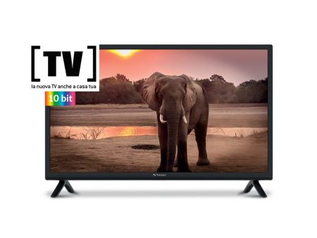 Strong Tv 32  HD Led Frequenza Di Aggiornamento 60Hz 2 HDMI 2 USB DVB-T2 C S2 SRT 32HC4043 Colore Nero Classe Energetica F Online